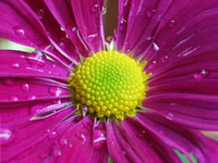 gardens-connecticut-new-canaan-nature-center