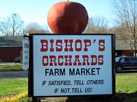 bishops-orchards-farm-market-and-winery-wineries-ct