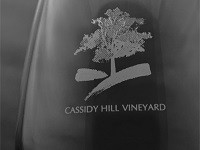 cassidy-hill-vineyard-vineyard-ct