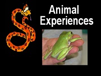 animal-experiences-kids-animal-entertainment-ct