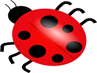ladybug-cake-and-candy-girls-parties-ct