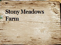 stony-meadows-farm-kids-animal-entertainment-ct