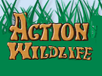 action-wildlife-zoos-ct