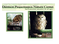 denison-pequotsepos-nature-center-zoos-ct