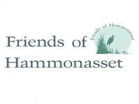 friends-of-hammonasset-water-parks-ct