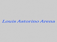 Louis Astorino Arena Ice Skating Parties in CT