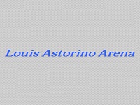 Louis Astorino Arena Ice Skating Parties in CT