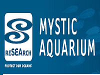 mystic-aquarium-road-trip-ct