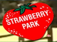 strawberry-park-sightseeing-ct