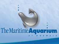 the-maritime-aquarium-at-norwalk -best-attractions-ct