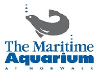 the-maritime-aquarium-at-norwalk-zoos-ct