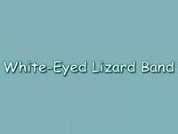 White-Eyed Lizard Band Musical Entertainers in CT