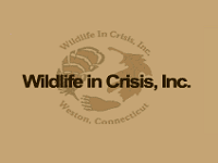 wildlife-in-crisis,-inc.-zoos-ct