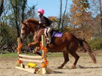 Grandview Farms Equestrian Center Pony Parties In Connecticut