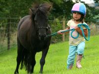 Starbuck Equestrian Pony Riding Parties For Kids in CT